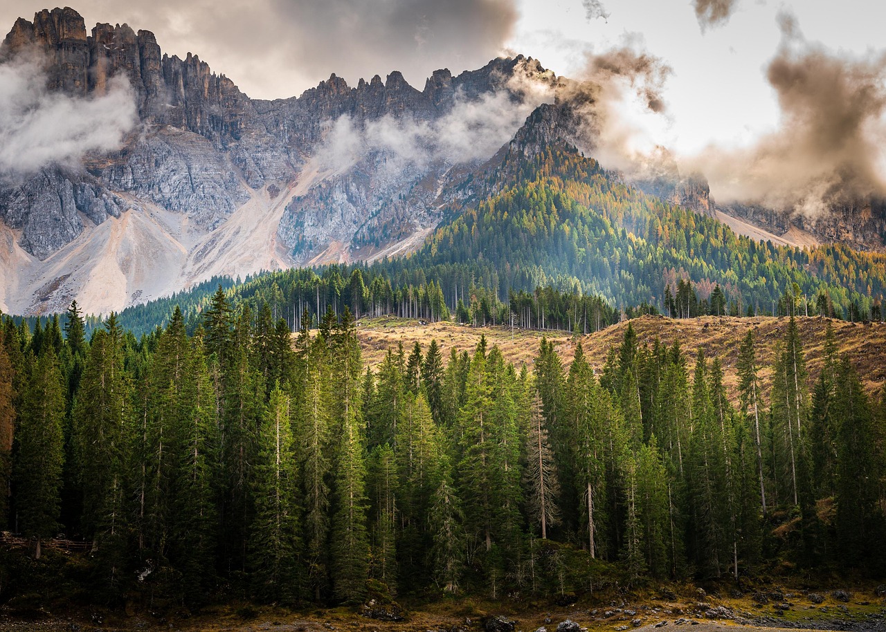 Boscaioli nel Trentino, immersi nella foresta, lavorano in armonia con la natura circostante.
