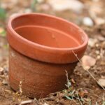 Vasi inadatti per piante grasse che causano marciume delle radici.