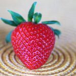 Fragole fresche con picciolo verde, pronte per la raccolta, in un campo soleggiato.