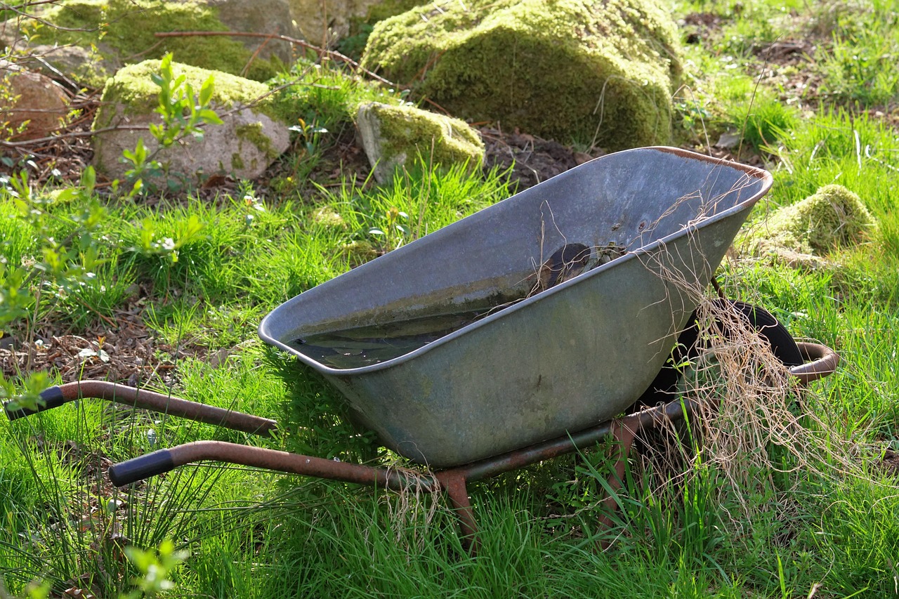 Ristagno d'acqua nel terreno che danneggia le radici delle piante.