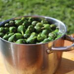 Fichi freschi disposti su un tavolo, pronti per essere conservati in modo ottimale.