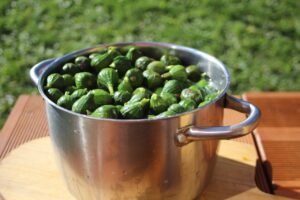 Fichi freschi disposti su un tavolo, pronti per essere conservati in modo ottimale.